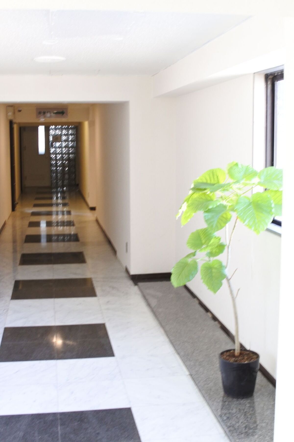 Kagoshima Guest House M104 - Hostel Exteriör bild